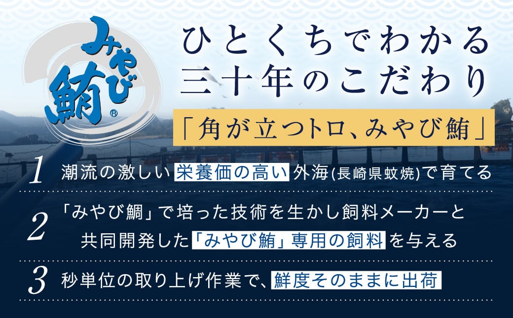 本マグロ 大賞受賞 みやび鮪 中トロ 計約1kg (約10～11人前) ／ 小分け トロ 霜降り ブロック クロマグロ 鮪 まぐろ さく マグロ 柵 刺し身 刺身 国産 本まぐろ 本鮪 中とろ 冷凍 