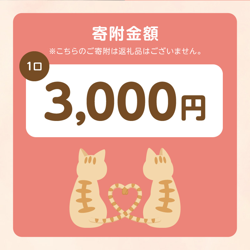 人と猫が互いに幸せになれるまちを目指して『不妊去勢手術支援プロジェクト』（返礼品はありません） N0159-9999995