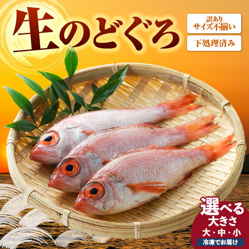 【ふるさと納税】【訳あり】調理済 香住産 のどぐろ 【選べるサイズ（小：5匹～8匹／中：5匹／大： 3匹）】冷凍 アカムツ 高級魚 生のどぐろ ノドグロ 鮮魚 魚 魚介 魚介類 日本海 お刺身 煮物 炊き込みご飯 唐揚げ 塩焼き 産地直送 兵庫県 香美町 山陰 宿院商店