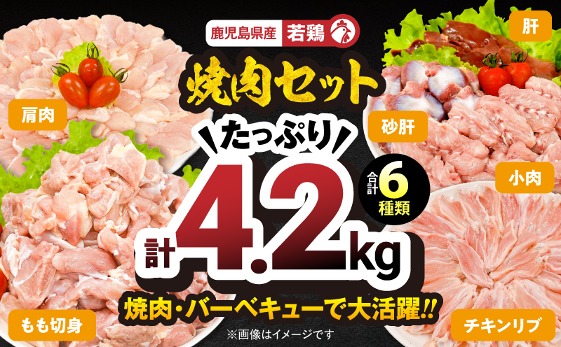 2653 若鶏焼肉4.2kgセット　KN105-001【株式会社 TRINITY】