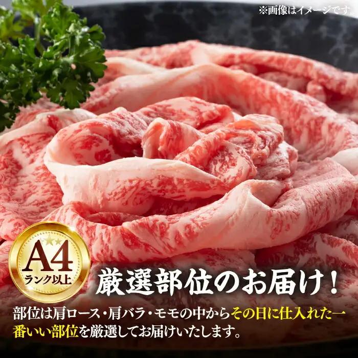 博多和牛 スライス 250g & 切り落とし500g VBB007 牛肉