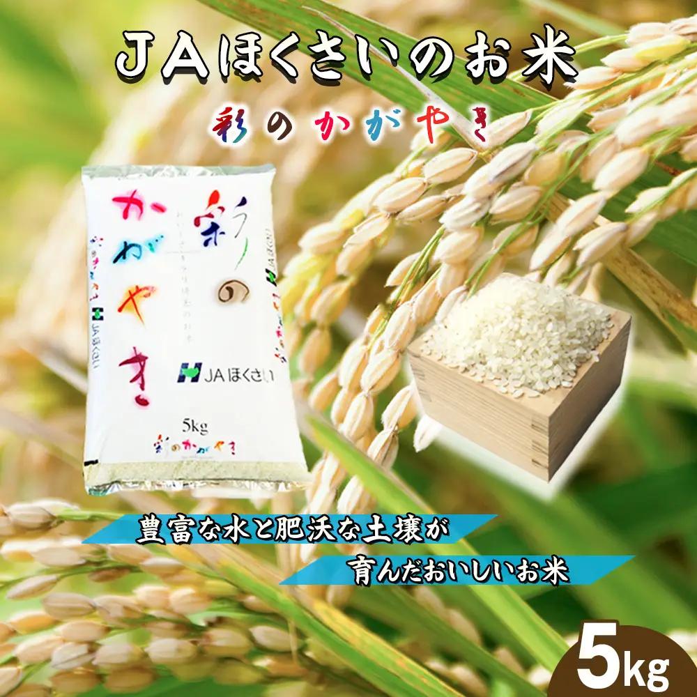 鴻巣市産「彩のかがやき」5kg ／ 令和7年産 2025年産 米 精米 お米 5キロ ご飯 ブランド米 美味しい さっぱり 甘み 埼玉県 No.568