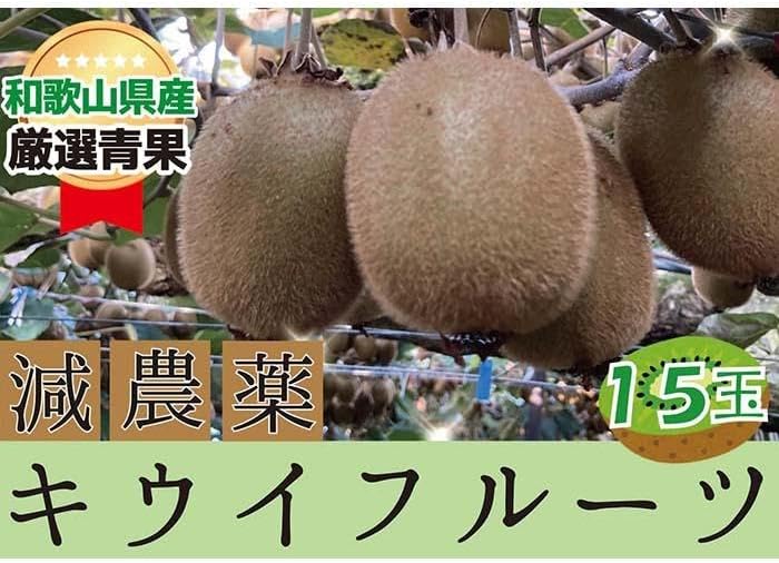 【ふるさと納税】 キウイフルーツ 秀品 ヘイワード 15玉【2025年11月下旬～2026年4月下旬発送】/ キウイ フルーツ 和歌山県 かつらぎ町 旬 美味しい おいしい 甘い スイーツ デザート ビタミン 【A250-frks143A】