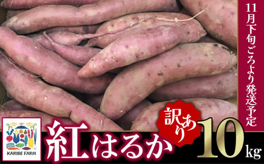 【先行予約】【訳あり】茨城県産 さつまいも 「紅はるか」 10kg【2024年11月下旬ごろ順次発送】【さつまいも 紅はるか 甘い ねっとり サツマイモ 焼き芋 芋 大容量 茨城県産 焼き芋 スイートポテト レシピ】