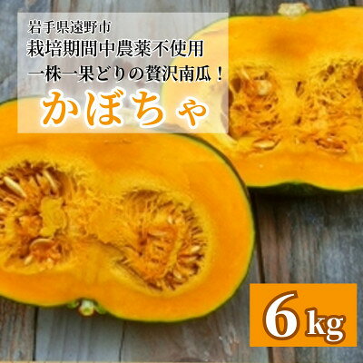【ふるさと納税】【甘い粉質系】かぼちゃ(6kg)栽培期間中農薬、動物性化成等不使用 遠野もぐもぐカントリー【1765594】