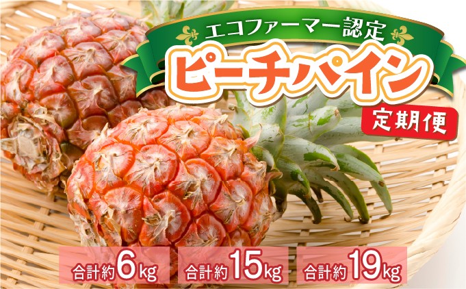 
            ＜選べる容量＞定期便 2ヶ月 絶品ピーチパイン 約3kg〜9.5kg【E-SOU/Ｅ】 2026年 先行予約 西表島 初エコファーマー認定 パイン 果物 フルーツ 2回 お楽しみ　【036-a003/036-a006/036-a009】
          
