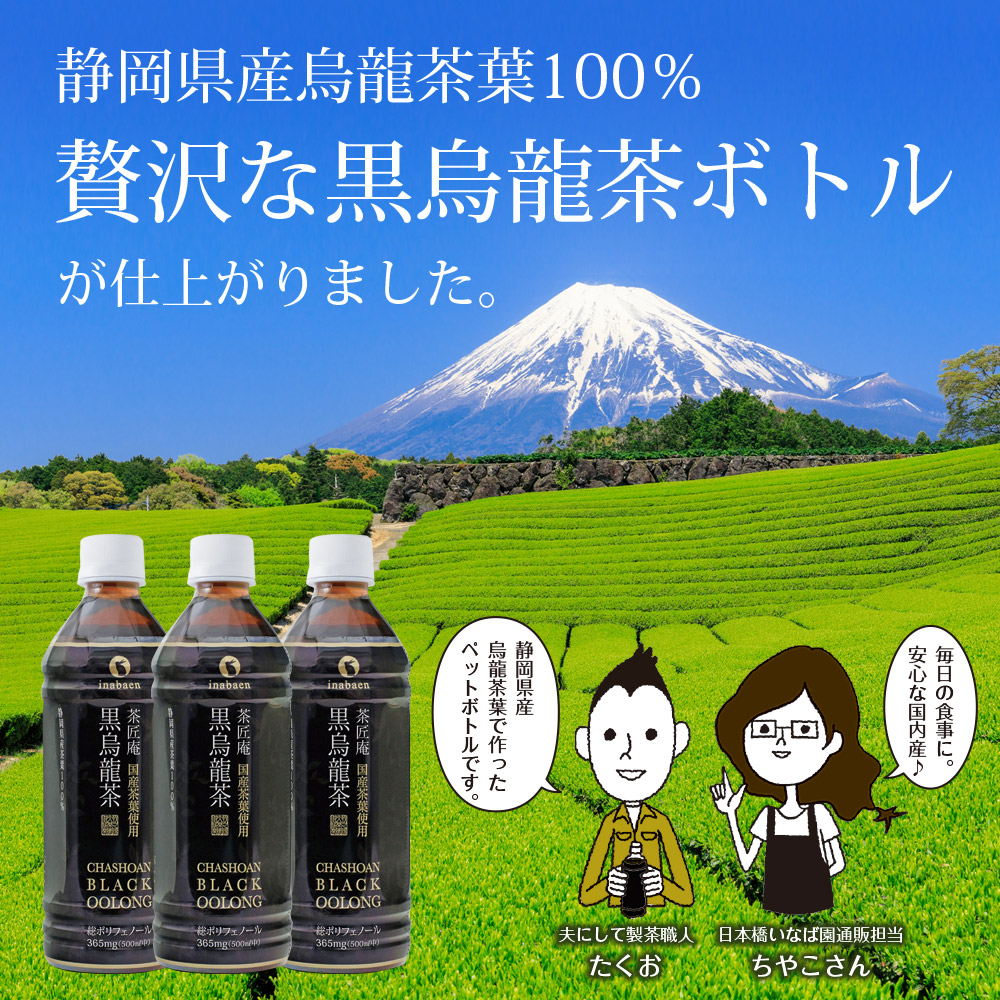 【定期便6か月】静岡県産 黒烏龍茶 500ml × 24本 ペットボトル 黒ウーロン茶 国産 ポリフェノール配合 いなば園 ウーロン茶 牧之原市 お茶