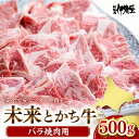 【ふるさと納税】未来とかち牛 バラ 焼肉 500g 牛肉 肉 お肉 国産 国産牛 北海道産 人気 送料無料 北海道 十勝 芽室町