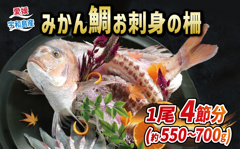 
真鯛 みかん 鯛 550 ～ 700g 1尾 刺身 柵 4節 宇和島プロジェクト 人気 マダイ タイ 刺身 お刺身 お刺し身 刺し身 真空パック フィーレ お手軽 海鮮 鯛めし 鯛茶漬け 鯛しゃぶ 塩焼き 煮付け 蜜柑 柑橘 産地直送 愛媛県産 国産 愛媛 宇和島 D022-071004
