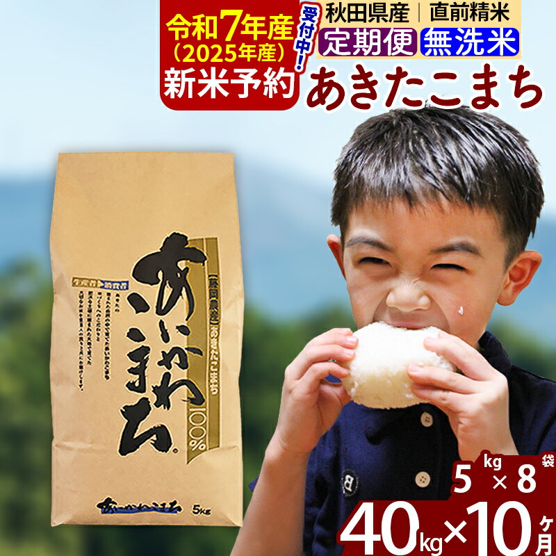 【ふるさと納税】※令和7年産 新米予約※《定期便10ヶ月》秋田県産 あきたこまち 40kg【無洗米】(5kg小分け袋) 2025年産 お届け周期調整可能 隔月に調整OK お米 藤岡農産