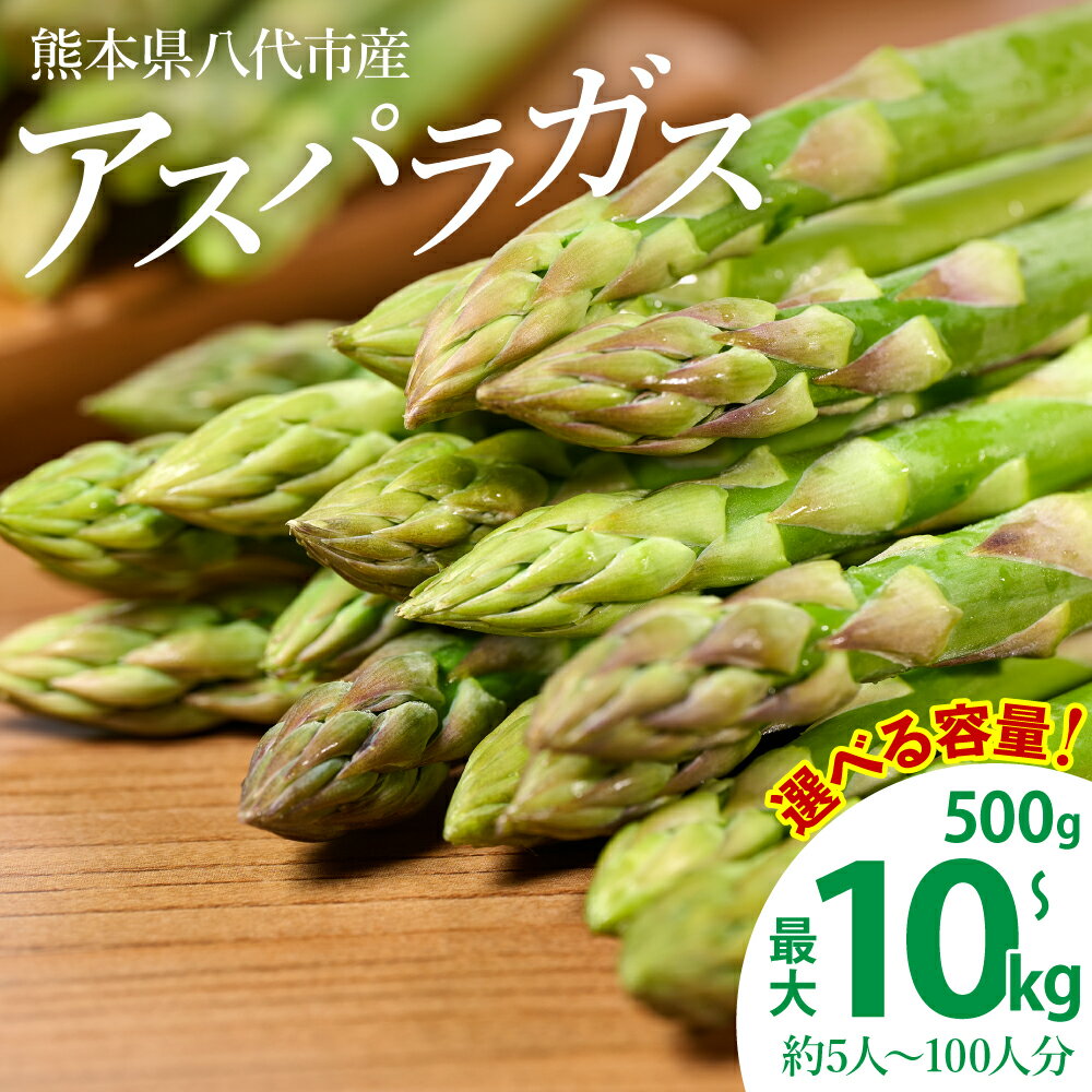 【ふるさと納税】【先行予約】【選べる容量】熊本県八代市産 アスパラガス 500g～10kg 新鮮 アスパラ 野菜 国産 熊本県産 送料無料 【2026年4月上旬より順次発送】
