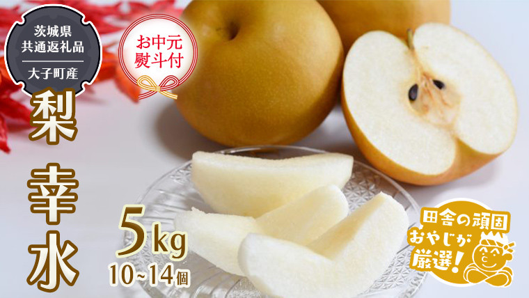 
            （ お中元 熨斗付 ）梨 幸水 5kg 10~14個 【2026年7月より発送開始】 （茨城県共通返礼品 [梨]：大子町産） 田舎の頑固おやじが厳選！  高糖度 ギフト 御中元 フルーツ 美味しい なし ナシ
          