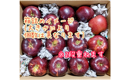 【2026年産】 訳あり りんご 秋映 約10kg 林檎 リンゴ 10kg 果物 くだもの フルーツ デザート 旬の果物 旬のフルーツ 訳アリ 長野県 長野