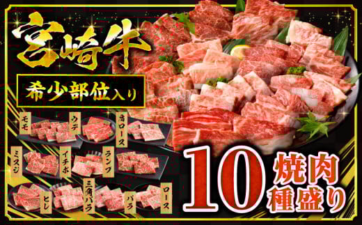 【2025年7月発送】 宮崎牛焼肉10種盛り合わせ｜モモ ウデ ロース 肩ロース バラ ミスジ ランプ イチボ 三角バラ ヒレ｜_M132-067-jul