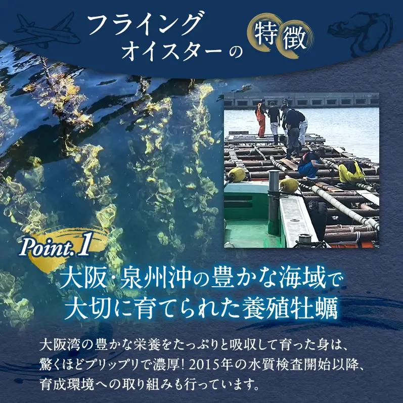 牡蠣 殻付き 5kg 加熱用 先行予約 生 牡蠣