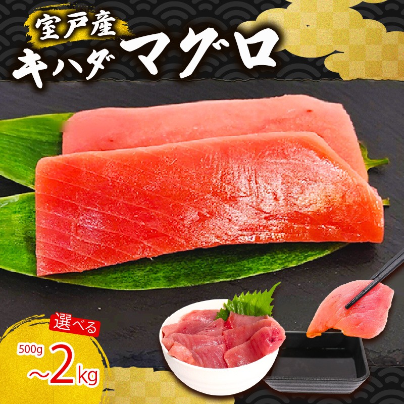 
            天然 キハダマグロ 500g ～ 2kg 赤身 マグロ 鮪 刺身用 柵 海鮮 魚介 魚 海鮮丼 手巻き寿司 寿司 高知県 室戸市
          