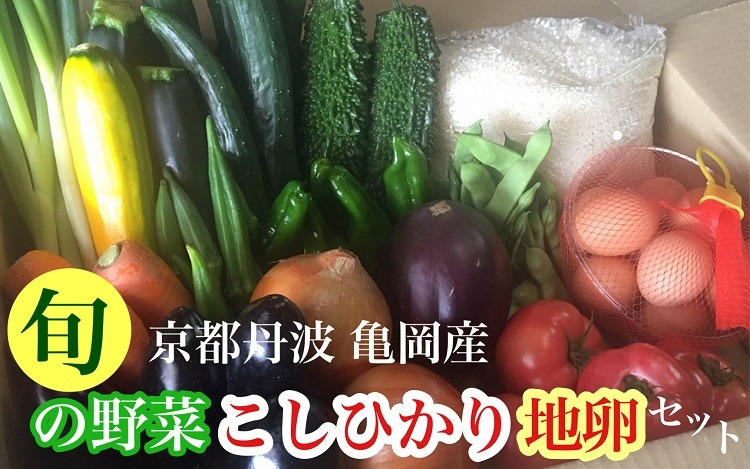 京都丹波・亀岡発 旬の野菜・こしひかり・地卵 詰め合わせセット〇 ※北海道・沖縄・離島への配送不可