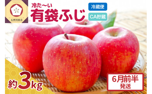 【6月前半発送】りんご ふじ 贈答用 約 3kg 【 有袋栽培 CA貯蔵 クール便 果物類 林檎 リンゴ ふじりんご フルーツ 青森 五所川原 】