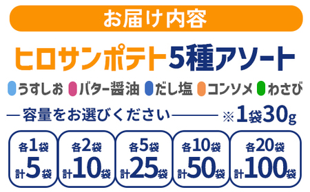 ヒロサンポテト ポテトチップス 5種アソート 10袋