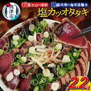 【ふるさと納税】 かつお たたき 溶岩焼 塩カツオタタキ 節 個包装 冷凍 2.2kg 焼津 天然 魚 かつおのたたき タレ付き a10-933