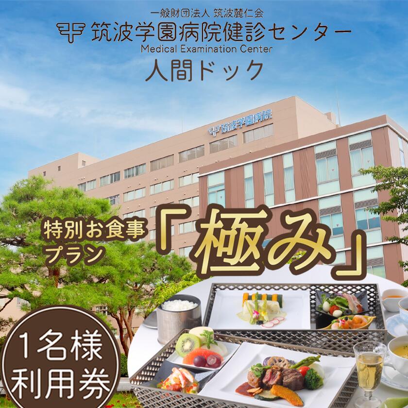 【ふるさと納税】筑波学園病院健診センターの人間ドック 特別お食事プラン「極み」 | 人間ドック 検査 健康診断 健康 ヘルス 病院 医療 利用券 料理 旬 茨城県 つくば市