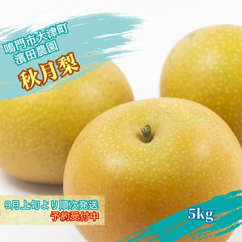 【ふるさと納税】濱田農園 秋月梨 約5kg 【数量限定】【9月上旬より順次発送予約受付中】 徳島県産 いいとこどり 幻の梨 和梨 香梨 新高 豊水 幸水 国産 鳴門