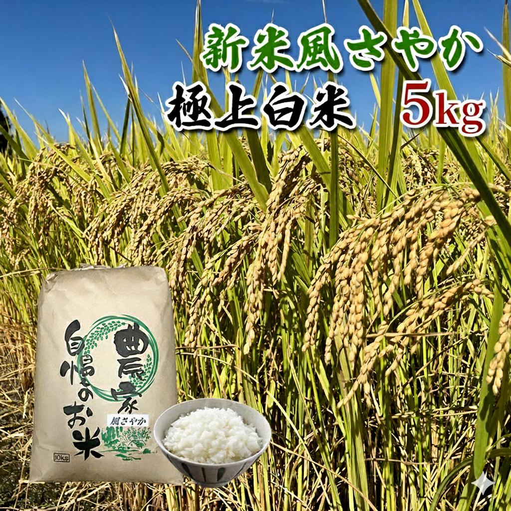
            【農家直送】長野県産「風さやか」（5kg）【栄屋ファーム】 お米 [№5659-1252]
          