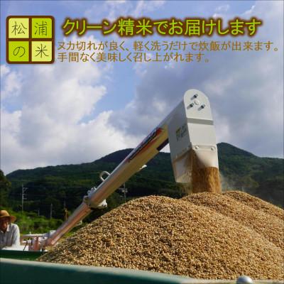 ふるさと納税 松浦市 つづら水源の森を流れる水が育む松浦の米　「ヒノヒカリ又はコシヒカリ」石倉の誉10kg |  | 03
