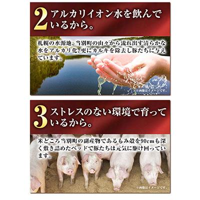 ふるさと納税 当別町 養豚家の豚ジンギスカンセット倍量 |  | 03