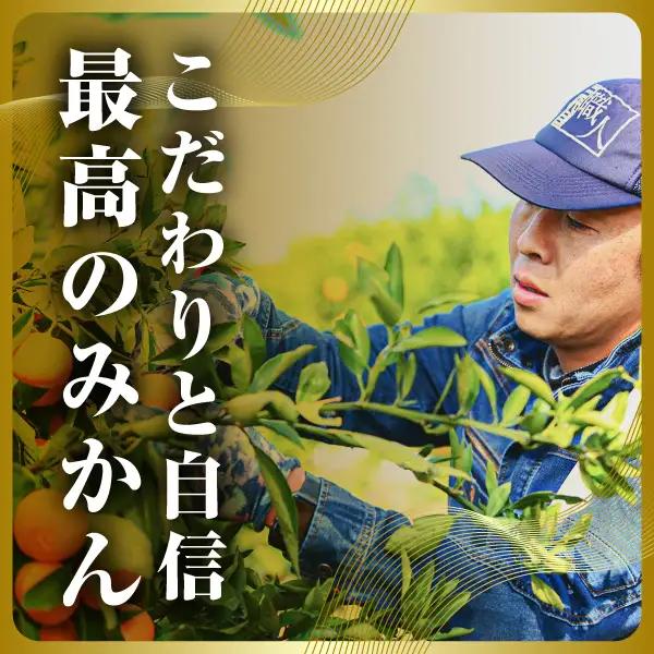 三代目の頂みかんTHEプレミアム【小玉サイズ】3kg【C31-32】【1424406】 YWTAC021