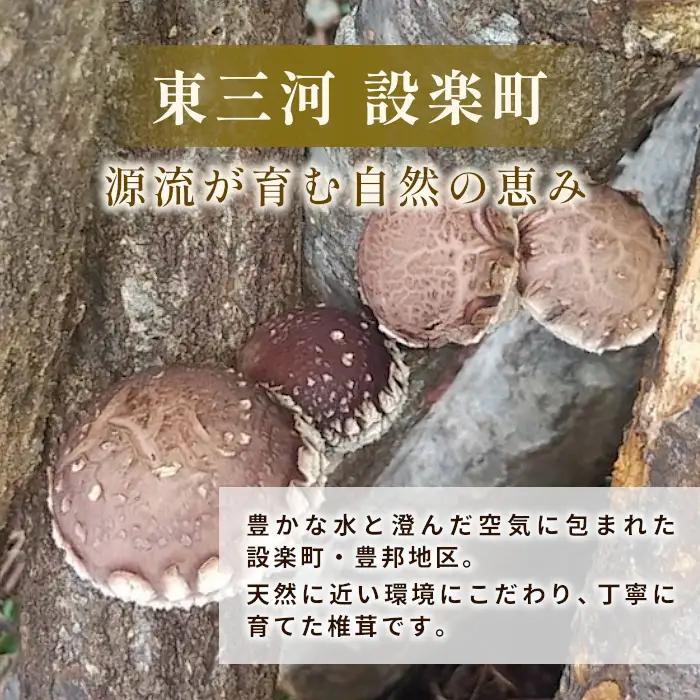 無農薬栽培 原木しいたけ！とよくに清流 ほししいたけ 200g 椎茸 シイタケ 野菜 バーベキュー 肉厚-017