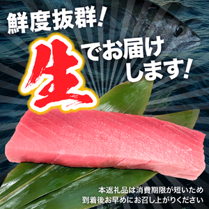 【生本マグロ】大トロ マグロ 400g 柵