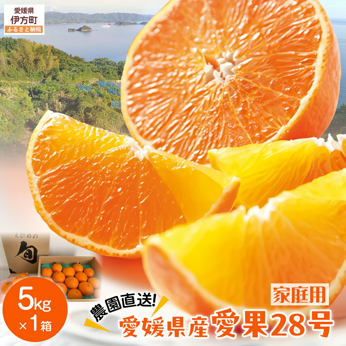 【ふるさと納税】【先行予約】【数量限定】＼農園直送／愛媛県産 愛果28号（家庭用） 5kg×1箱（サイズ混合）（2025年12月中旬より順次発送） 【ふるさと納税 人気 おすすめ ランキング 柑橘 みかん ミカン 蜜柑 愛果28号 紅 まどんな と同品種 果物 フルーツ 】 IKTV005
