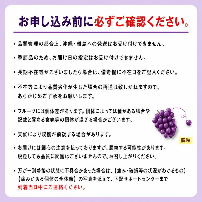 ぶどう あづましずく 種なし 計約1kg 2房 ぶどう
