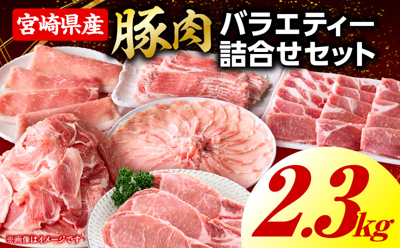 豚肉バラエティー詰合せセット【2.3kg】_kn085-013