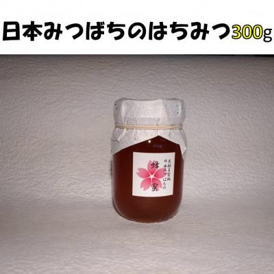 ふるさと納税 多賀城市 史都多賀城日本みつばちの蜂蜜300g