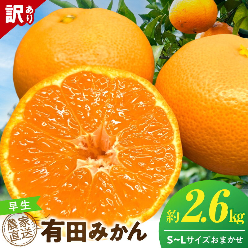 【ふるさと納税】【2026年先行予約】 有田みかん 早生 約 2.6kg 訳あり 12月発送 宮川早生 温州 甘み みかん 柑橘 フルーツ デザート 果実 果汁豊富 農家直送 傷あり お取り寄せ 和歌山県 湯浅町 送料無料