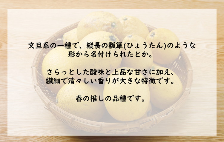 【数量限定】家庭用 瓢柑(7kg) 訳あり | 柑橘 果物 フルーツ　※2024年4月中旬～5月下旬頃に順次発送予定　※北海道・沖縄・離島への配送不可