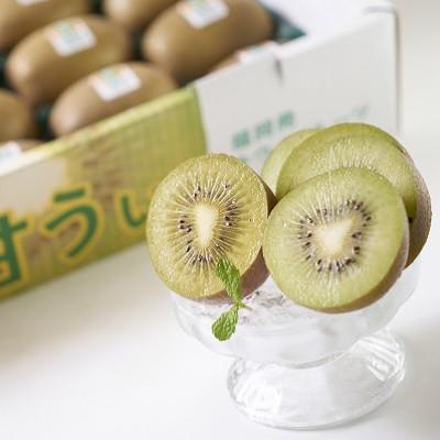 ふるさと納税 福岡市 福岡県産限定オリジナルキウイ・甘うぃ約1.5kg(福岡市返礼品) |  | 02