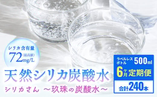 【定期便】天然シリカ炭酸水 　500ml × 40本 6回 【 シリカさん～玖珠の炭酸水～ 】 炭酸水 シリカ 水 シリカ天然水 常温保存 長期保存 天然 国産 天然水 炭酸水 スパークリングウォータ