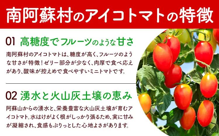 ミニトマト アイコ 約3kg ますだふぁーむ《7月上旬-11月末頃出荷》熊本県 南阿蘇村 アイコトマト 野菜 旬 夏野菜 トマト