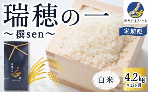 【定期便】みずほファーム「瑞穂の一 “撰sen”」(白米4.2kg × 12ヶ月)