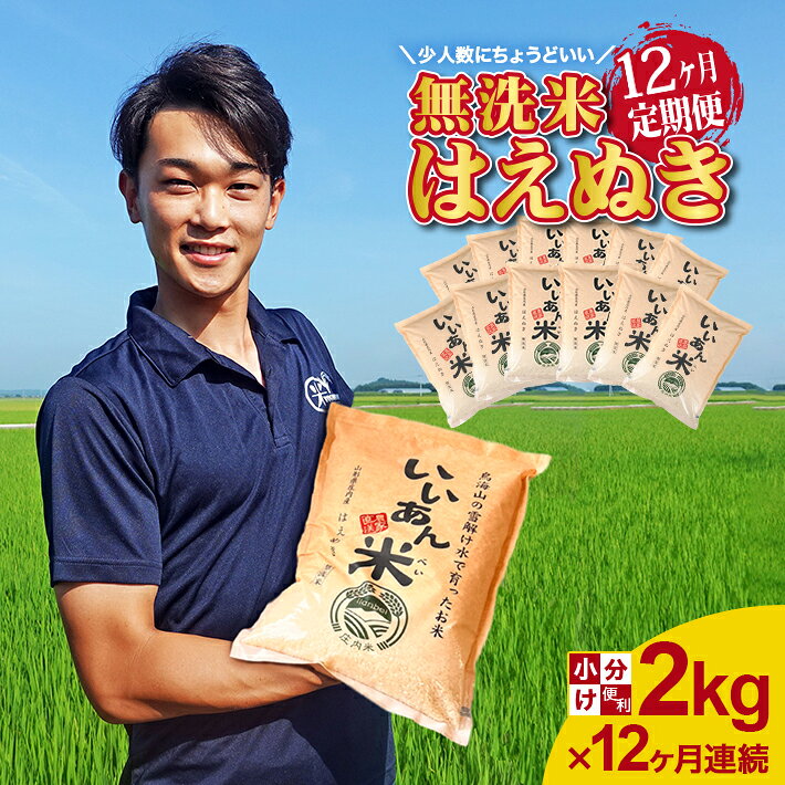 【ふるさと納税】≪12ヶ月定期便≫ 無洗米 はえぬき 2kg×12ヶ月連続 計24kg 山形県庄内産 ご希望期間の毎月中旬頃お届け 東北 山形県 酒田市 庄内地方 庄内平野 米 お米 精米 白米 無洗米 ブランド米 庄内米 定期便 小分け 一人暮らし 少人数