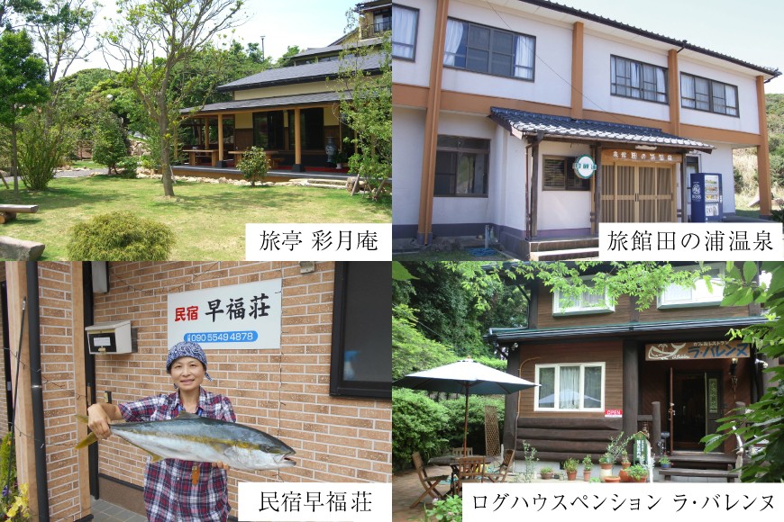 宿泊 クーポン 平戸 宿泊施設 で使える 割引券 30,000円分 [平戸観光交流センター 長崎県 平戸市 hr42bgy390017] 九州 国内旅行 ホテル 旅館 旅行 旅 3万円 分