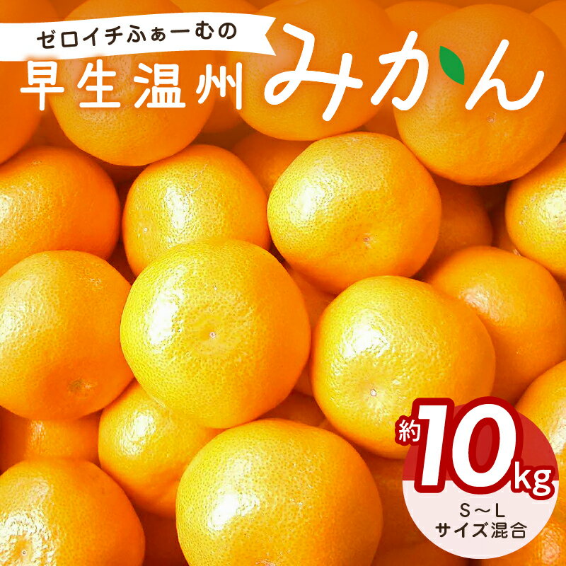 【ふるさと納税】ゼロイチふぁーむ みかん 早生温州みかん 約10kg【年中みかんのとれるまち御浜町】