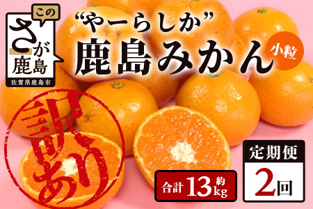 2回定期【訳あり】”やーらしか”鹿島産みかん 約6.5kg ×2回 【配送期日指定不可】佐賀県 鹿島市産 温州ミカン 旨み凝縮 小粒みかんB-714