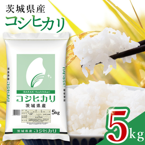 【数量限定】令和7年茨城県産コシヒカリ5kg【お米 ごはん こしひかり おにぎり ごはん 茨城県 水戸市】(JB-15)