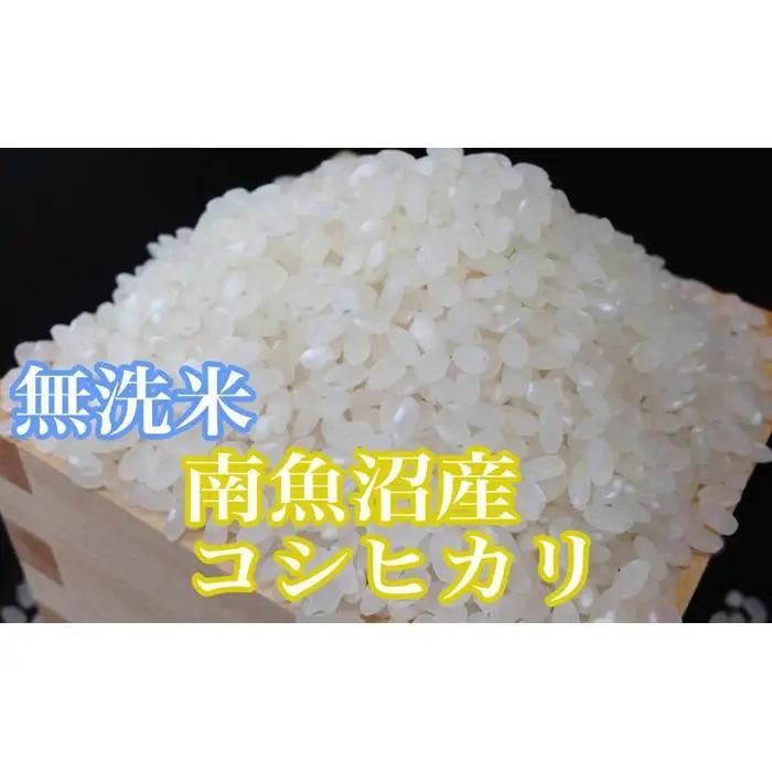 【令和7年】【定期便4kg×3ヶ月】●吟精 無洗米●南魚沼産コシヒカリ｜コシヒカリ