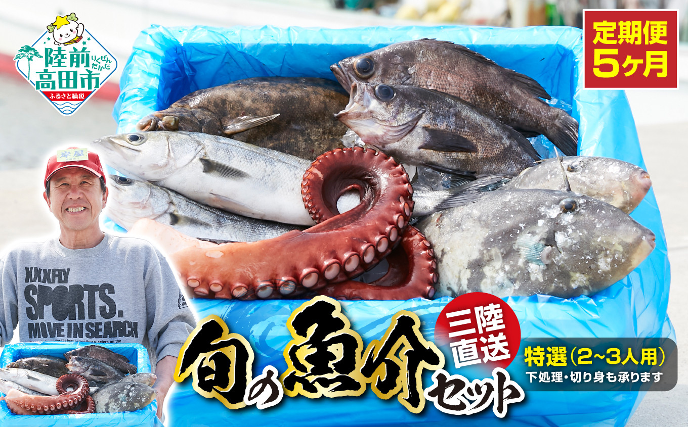 
            【5ヶ月定期便】特選 三陸海の恵み 詰め合わせ 【下処理可】(1回あたりのお届け目安：2～3人用)【 鮮魚セット 鮮魚 三陸産 海鮮 新鮮 お刺身 産地直送 おさかな お魚 旬 人気 お手軽 】RT1001
          