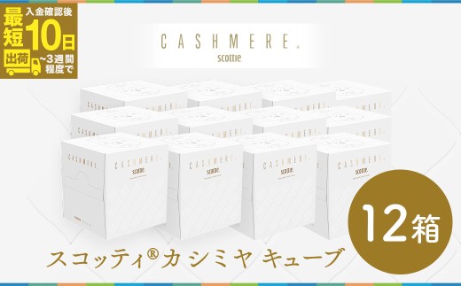 スコッティ カシミヤ キューブ 80組(1箱)×12箱【入金確認後、最短10日～3週間程度で発送】 | 日用品 箱ティッシュ 160枚 12箱 コンパクト 洗面台 洗面所 ドレッサー 花粉症 柔らかい 優しい やさしい サイズ 車用 オフィス 職場 デスク おしゃれ お洒落 デザイン テーブル 店舗 シンプル 上質 埼玉県 草加市